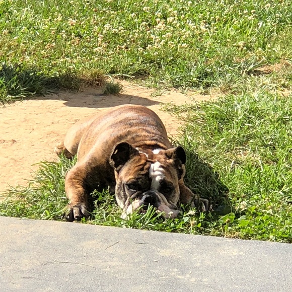 Meet your Posher, Lori - Picture 1 of 1